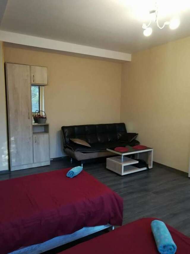 Гостевой дом Guest House Nana Тбилиси-35